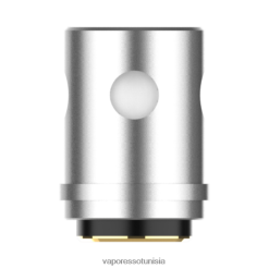 Vaporesso pod Tunisie - Vaporesso EUC bobines (5 pièces) euc clapton 0.5ohm 2F48BL368